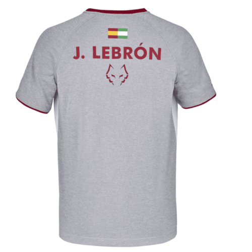 t-shirt babolat crew neck tee lbron